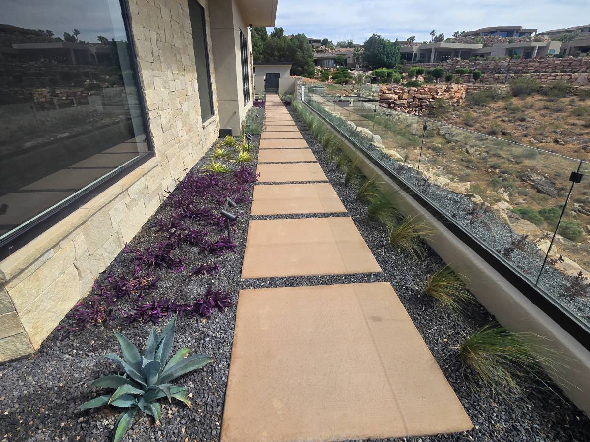 Desert Plants That Thrive in Washington County, xeriscaping & desert landscaping in St. George, Utah